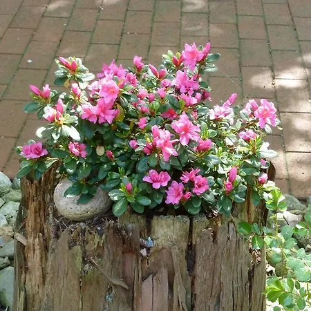 Gutshof Im Oertzetal In Oldendorf, Suedheide Hotel 3*