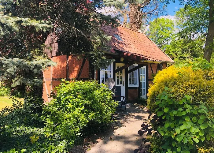 Gutshof Im Oertzetal In Oldendorf, Suedheide 3* 赫曼斯堡